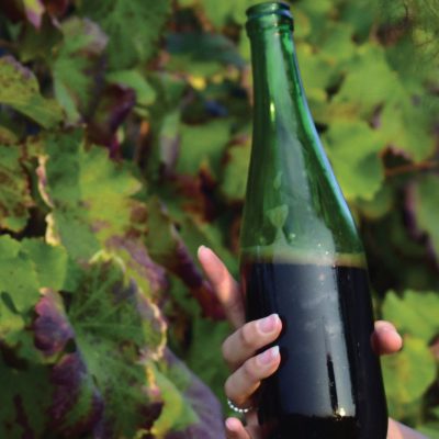 Lambrusco mantovano DOC (Di Origine Controllata)